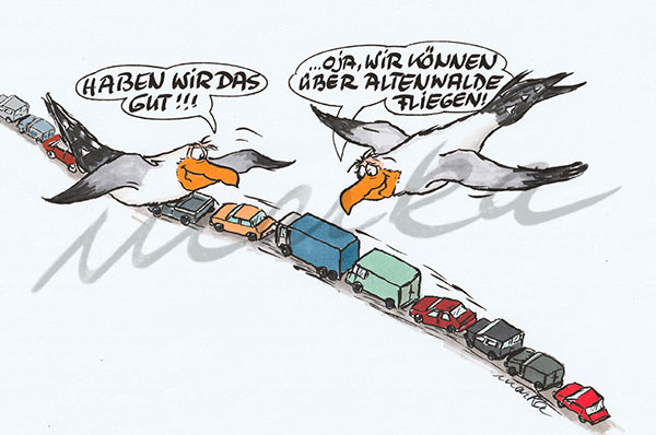 Ampelwalde-im-Flug_Ein-Cartoon-von-MARKA-DESIGN-Cuxhaven