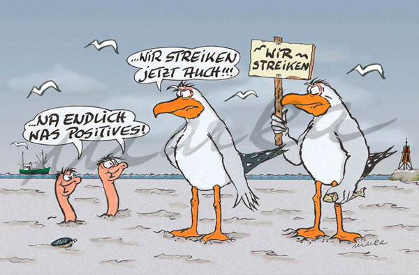 Möwenstreik_Ein-Cartoon-von-MARKA-DESIGN-Cuxhaven