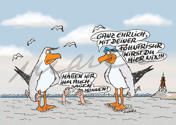 Trumps-Fönfrisur_Ein-Cartoon-von-MARKA-DESIGN-Cuxhaven